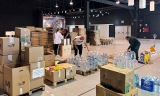 Material recogido en Montilla.