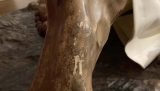 Da&ntilde;os en la imagen de Jes&uacute;s Ca&iacute;do.