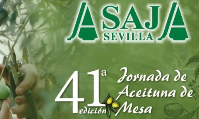 El riego deficitario, la mosca del olivo y el verdeo, ejes de la 41ª Jornada de Aceituna de Mesa de ASAJA Sevilla