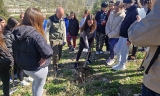 Actividad de este viernes.