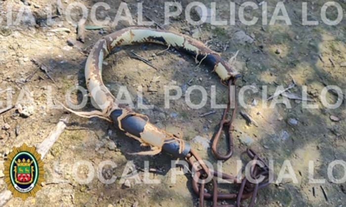 Imagen de la cadena difundida por la Polic&iacute;a Local de Cabra.