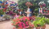 La Mancomunidad de la Subb&eacute;tica publica los premios del Concurso de Patios, Rincones y Fachadas