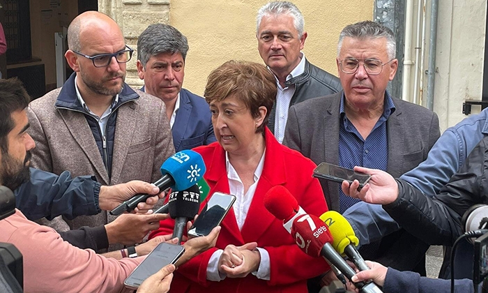 Alcaldes de PSOE e IU, ante la delegación del Gobierno de la Junta en Córdoba.