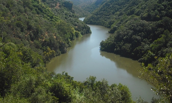Los pantanos que abastecen al Consorcio Plan &Eacute;cija inician el nuevo hidrol&oacute;gico por debajo del 10% de su nivel