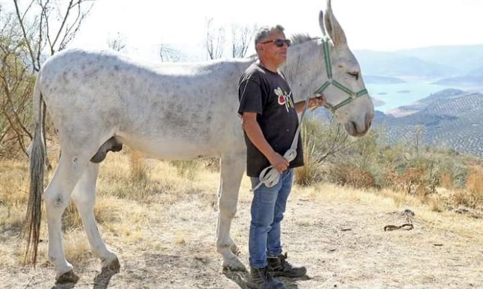 Pascual Rovira, toda una vida dedicada a la defensa del borrico a trav&eacute;s de su asociaci&oacute;n Adebo de Rute