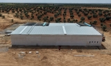 La producci&oacute;n de pistacho de Dcoop crecer&aacute; un 58% esta campa&ntilde;a