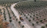 Unos 400 peque&ntilde;os agricultores de El Rubio se unen para adecentar el Camino Gallape