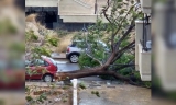 El temporal de viento pone en jaque a los servicios de emergencia en Antequera