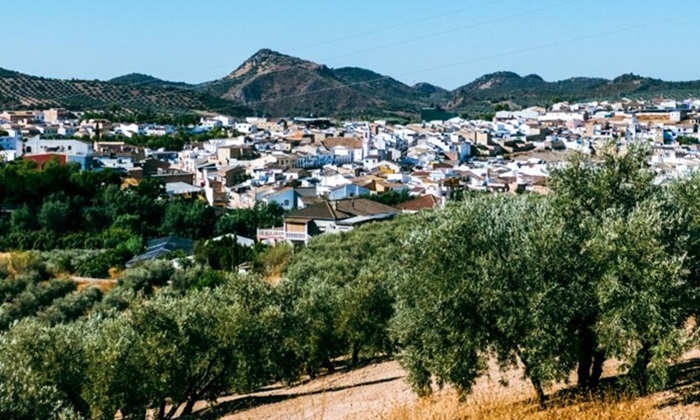 Badolatosa re&uacute;ne este mi&eacute;rcoles a olivareros de la comarca con la OCA para pedir ayudas por la sequ&iacute;a