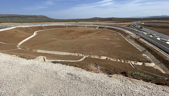 La Junta adjudica definitivamente a ADIPA el mantenimiento de las zonas verdes del Puerto Seco de Antequera