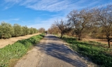El Ayuntamiento de Lucena edita una gu&iacute;a sobre aves y rutas ornitol&oacute;gicas de la provincia de C&oacute;rdoba