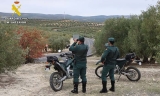 Seprona en Priego de C&oacute;rdoba. 