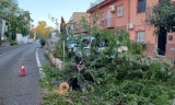 Un peque&ntilde;o tornado cruza &Eacute;cija y ocasiona algunos da&ntilde;os materiales