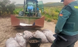 Fruto recuperado por la Guardia Civil.