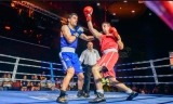 El boxeo gana adeptos en Antequera