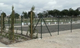 Huertos urbanos en el Parque Europa.