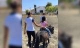 Nace Equialia, una asociaci&oacute;n antequerana para ayudar a personas con necesidades a trav&eacute;s del mundo del caballo