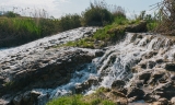 La Puebla de Cazalla logra un mill&oacute;n de euros para intervenir en el r&iacute;o y recuperar especies aut&oacute;ctonas