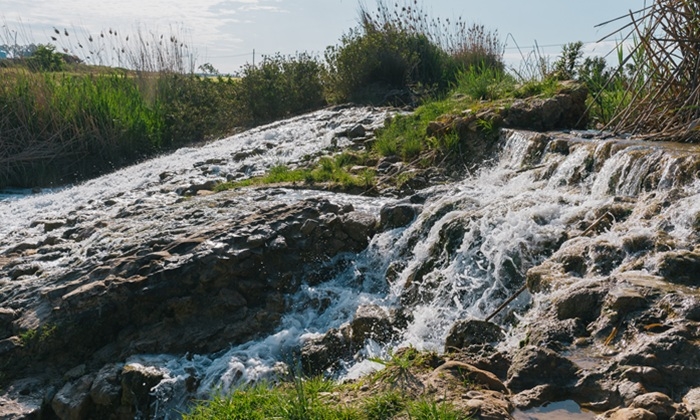 La Puebla de Cazalla logra un mill&oacute;n de euros para intervenir en el r&iacute;o y recuperar especies aut&oacute;ctonas