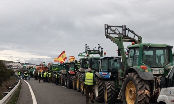 Productores de las comarcas de Osuna y Estepa se suman a la manifestación este lunes en Sevilla