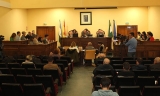 Sesi&oacute;n plenaria de enero.