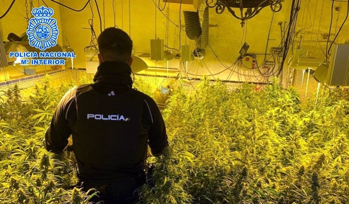 Desmantelada en Alameda una organización criminal dedicada al tráfico de marihuana