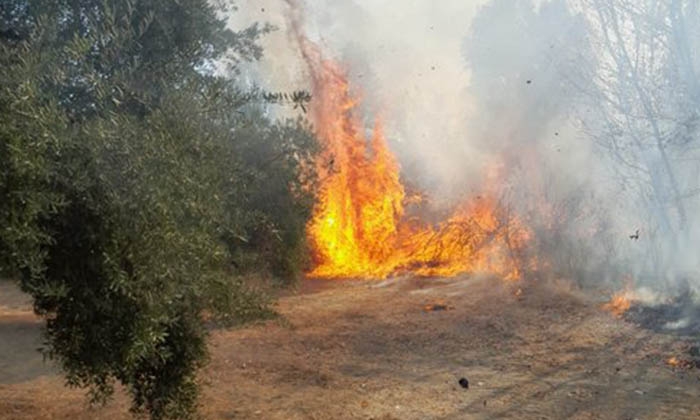 Incendio en el paraje Arroyo Salinas de Cabra.