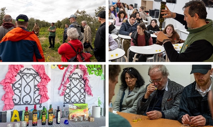 La DO Estepa espera aprobar en seis meses el proyecto de centro de interpretaci&oacute;n del aceite de oliva