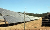 La Federación Andaluza de Caza presenta alegaciones a un megaparque solar en Almargen