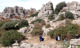PSOE e IU reclaman medidas de mejora y protecci&oacute;n en El Torcal de Antequera
