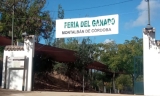 La ganader&iacute;a, protagonista este fin de semana en Montalb&aacute;n
