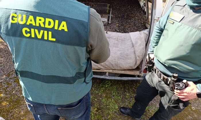 La Guardia Civil intercepta una tonelada de aceitunas en varias operaciones realizadas en Montilla