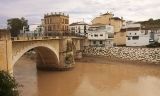 Puente Genil incrementa los muestreos y controles tras detectarse el Virus del Nilo