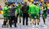 El BM D&oacute;lmenes quiere seguir vivo en la Copa del Rey ante otro Asobal