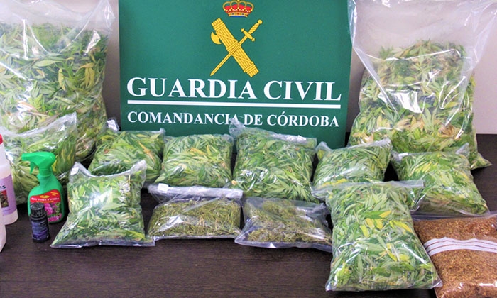 Marihuana intervenida en el trastero del bloque de viviendas de Montilla.