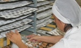 Consejo Regulador Mantecados y Polvorones 
