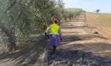 El Ayuntamiento de Marinaleda, dispuesto a comprar el Humoso a un &ldquo;precio justo y razonable&rdquo;, tras la sentencia que avala su venta