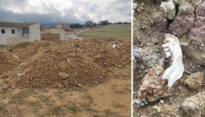 Denuncian la presencia de restos humanos en escombros procedentes de las obras del cementerio de Villanueva del Trabuco