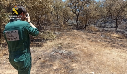 El Seprona esclarece los incendios forestales de julio en Carcabuey y otros municipios cordobeses