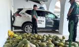 Recuperan en Montilla más de 700 kilos de melones y sandías robados en Montalbán