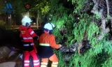 Intervenci&oacute;n de los bomberos en la avenida Manuel Recio de Campillos