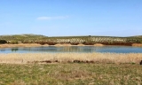 Ecologistas en Acci&oacute;n rechaza la eliminaci&oacute;n de carrizal en el paraje La Carrizosa de Aguilar de la Frontera
