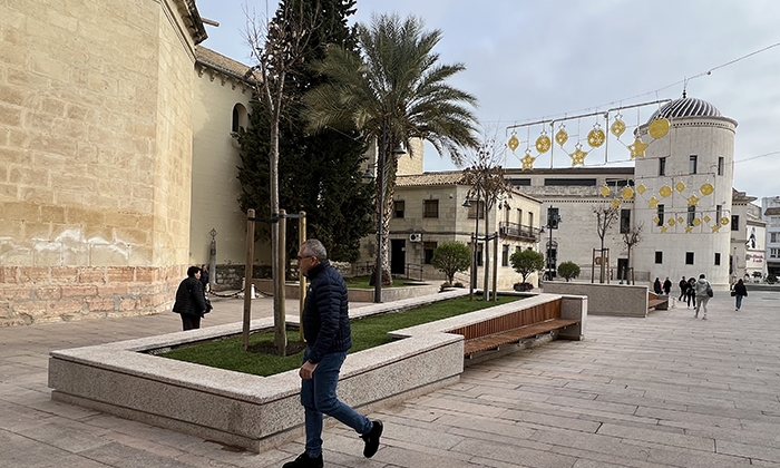 Nuevos parterres en la Plaza de San Miguel.