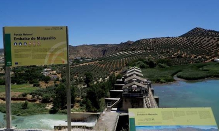 Presa de Malpasillo 