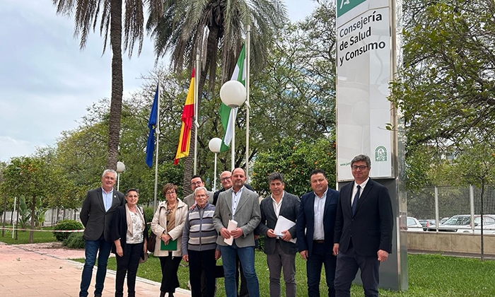 Alcaldes de la Campi&ntilde;a Sur ante la sede de la consejer&iacute;a de Salud.