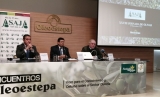 La Junta cifra en 1,5 millones de euros las pérdidas anuales para el olivar de Estepa con la nueva PAC
