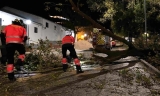 El fuerte viento deja un reguero de incidencias en Archidona