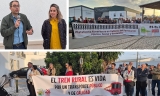 Pedrera vuelve a reivindicar el Cercan&iacute;as y la salida del tren de los estudiantes