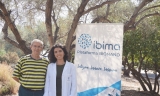 Un estudio confirma que el aceite de oliva virgen extra frena la creaci&oacute;n de nuevos vasos sangu&iacute;neos