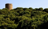 Izquierda Unida pide un plan en Antequera para poner en valor Torre Hacho y Parque Atalaya